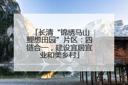 长清“锦绣马山 鲤想田园”片区：四链合一，建设宜居宜业和美乡村