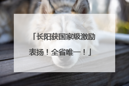长阳获国家级激励表扬！全省唯一！