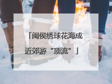 闽侯绣球花海成近郊游“顶流”