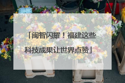 闽智闪耀！福建这些科技成果让世界点赞