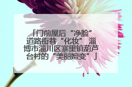 门前屋后“净脸” 道路街巷“化妆” 淄博市淄川区寨里镇葫芦台村的“美丽嬗变”