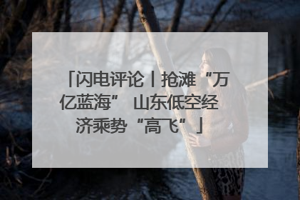 闪电评论丨抢滩“万亿蓝海” 山东低空经济乘势“高飞”