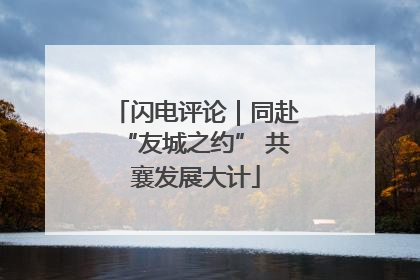 闪电评论｜同赴“友城之约” 共襄发展大计