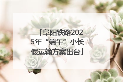 阜阳铁路2025年“端午”小长假运输方案出台