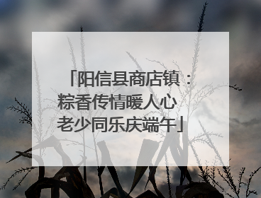 阳信县商店镇：粽香传情暖人心 老少同乐庆端午