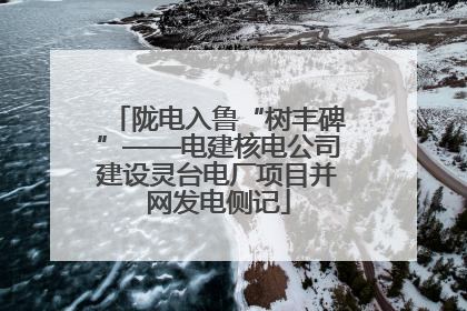 陇电入鲁“树丰碑”——电建核电公司建设灵台电厂项目并网发电侧记