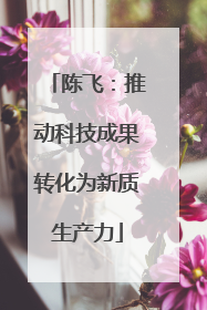 陈飞：推动科技成果转化为新质生产力