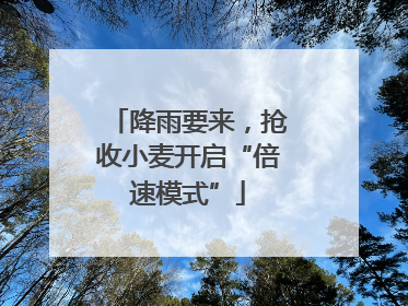 降雨要来，抢收小麦开启“倍速模式”