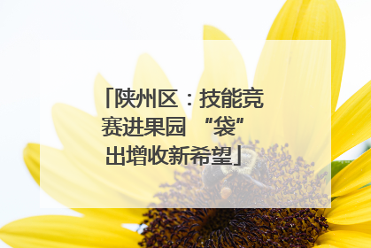 陕州区：技能竞赛进果园 “袋”出增收新希望