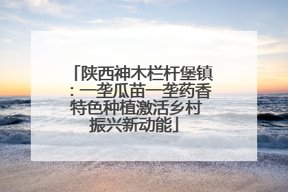 陕西神木栏杆堡镇：一垄瓜苗一垄药香 特色种植激活乡村振兴新动能