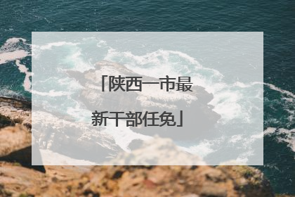 陕西一市最新干部任免