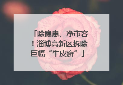 除隐患、净市容！淄博高新区拆除巨幅“牛皮癣”
