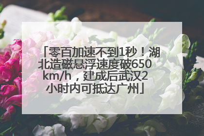 零百加速不到1秒！湖北造磁悬浮速度破650km/h，建成后武汉2小时内可抵达广州