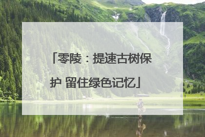 零陵：提速古树保护 留住绿色记忆
