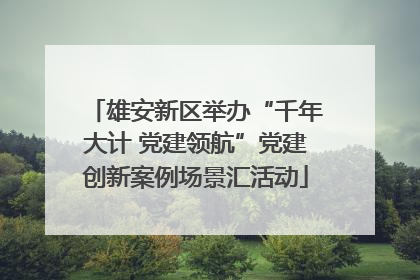 雄安新区举办“千年大计 党建领航”党建创新案例场景汇活动
