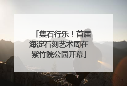 集石行乐！首届海淀石刻艺术周在紫竹院公园开幕