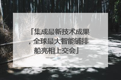 集成最新技术成果，全球最大智能铺排船亮相上交会