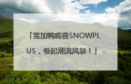 雪加鸭嘴兽SNOWPLUS，卷起潮流风暴！