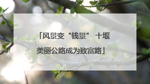 风景变“钱景” 十堰美丽公路成为致富路