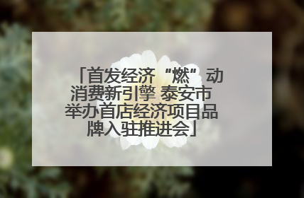 首发经济“燃”动消费新引擎 泰安市举办首店经济项目品牌入驻推进会