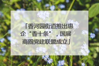 香河园街道推出惠企“香十条”，国展商圈党建联盟成立