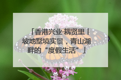 香港兴业·耦贤里丨坡地墅境实景，青山湖畔的“度假生活”
