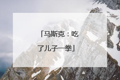 马斯克：吃了儿子一拳