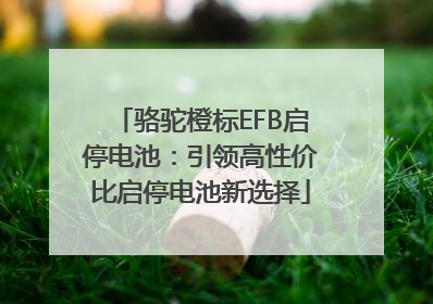 骆驼橙标EFB启停电池：引领高性价比启停电池新选择