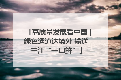 高质量发展看中国｜绿色通道达境外 输送三江“一口鲜”
