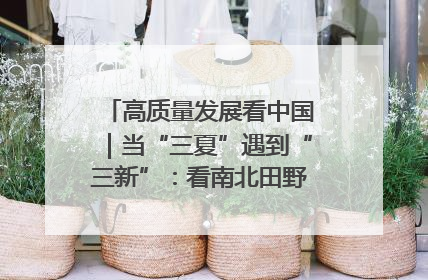 高质量发展看中国｜当“三夏”遇到“三新”：看南北田野里的科技共生记