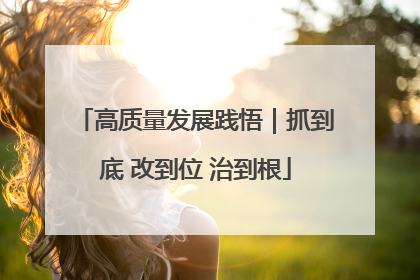 高质量发展践悟｜抓到底 改到位 治到根