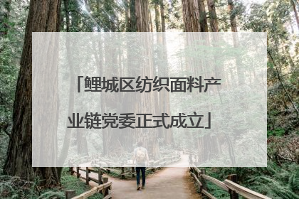 鲤城区纺织面料产业链党委正式成立