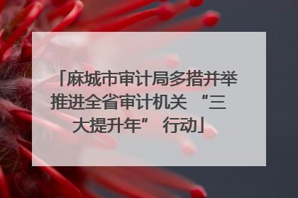 麻城市审计局多措并举推进全省审计机关 “三大提升年” 行动