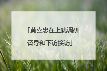 黄喜忠在上犹调研督导和下访接访