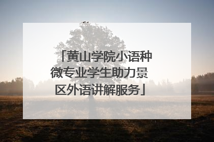 黄山学院小语种微专业学生助力景区外语讲解服务