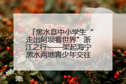 黑水县中小学生“走出阿坝看世界”浙江之行——架起海宁黑水两地青少年交往交流交融新桥梁