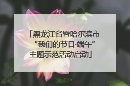 黑龙江省暨哈尔滨市“我们的节日·端午”主题示范活动启动