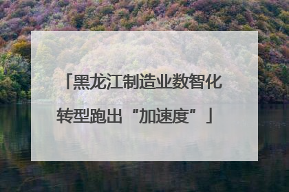 黑龙江制造业数智化转型跑出“加速度”