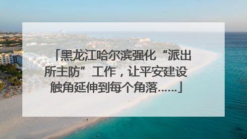 黑龙江哈尔滨强化“派出所主防”工作，让平安建设触角延伸到每个角落……