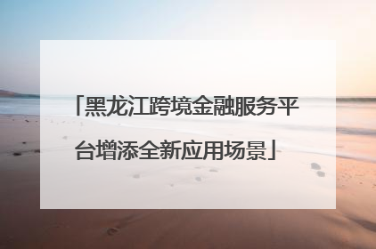黑龙江跨境金融服务平台增添全新应用场景