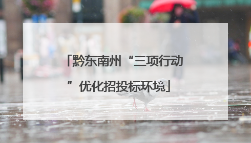 黔东南州“三项行动”优化招投标环境