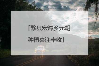 黟县宏潭乡元胡种植喜迎丰收