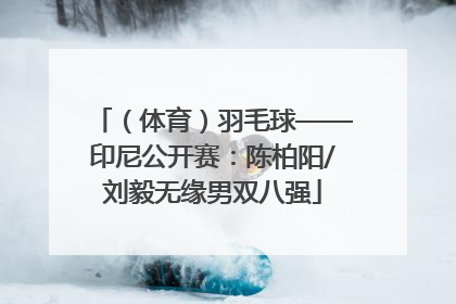 （体育）羽毛球——印尼公开赛：陈柏阳/刘毅无缘男双八强