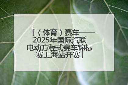 （体育）赛车——2025年国际汽联电动方程式赛车锦标赛上海站开赛