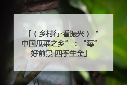 （乡村行·看振兴）“中国瓜菜之乡”：“莓”好前景 四季生金
