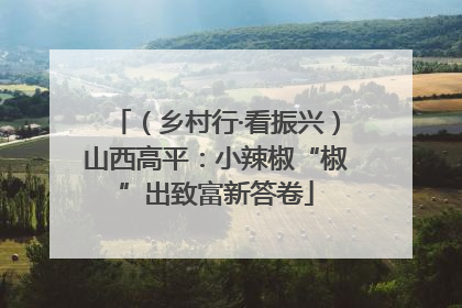（乡村行·看振兴）山西高平：小辣椒“椒”出致富新答卷