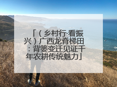 （乡村行·看振兴）广西龙脊梯田：背篓变迁见证千年农耕传统魅力