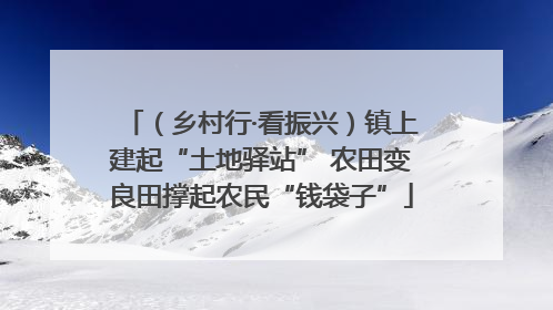 （乡村行·看振兴）镇上建起“土地驿站” 农田变良田撑起农民“钱袋子”