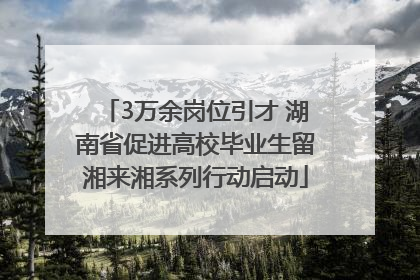 3万余岗位引才 湖南省促进高校毕业生留湘来湘系列行动启动