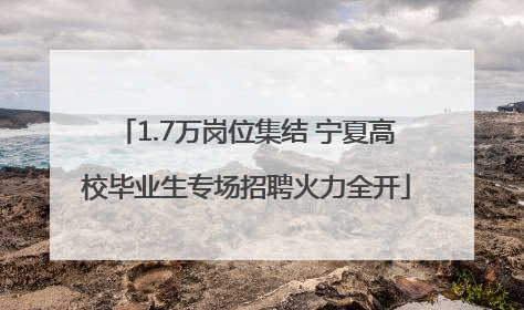1.7万岗位集结 宁夏高校毕业生专场招聘火力全开